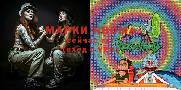 ПСИЛОЦИБИНОВЫЕ ГРИБЫ Ельня