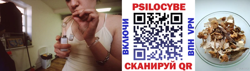 Псилоцибиновые грибы Psilocybine cubensis  Демидов 